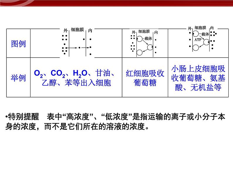 衡水高中用 人教版新课标 必修一  4-1 被动运输 4-2 主动运输与胞吞、胞吐 综合 课件07