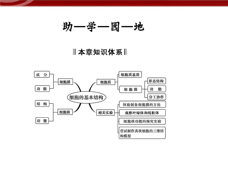 衡水高中用 人教版新课标 必修一 第三章 章节综合与测试 课件02