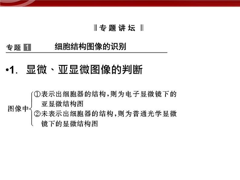 衡水高中用 人教版新课标 必修一 第三章 章节综合与测试 课件03