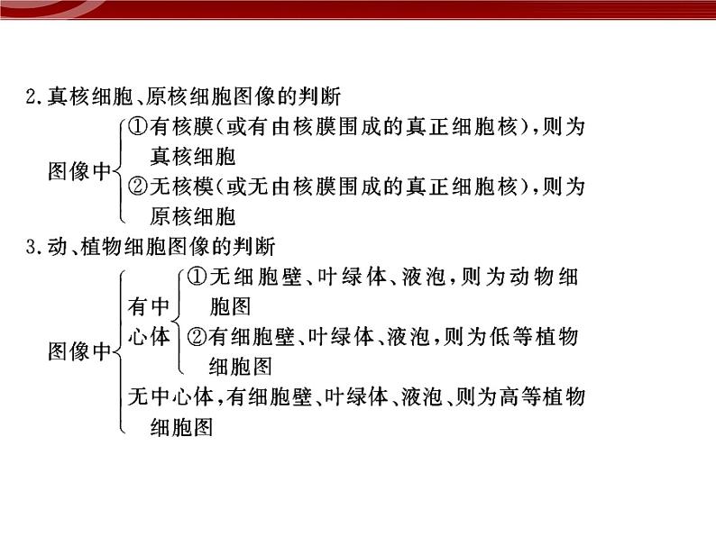 衡水高中用 人教版新课标 必修一 第三章 章节综合与测试 课件04