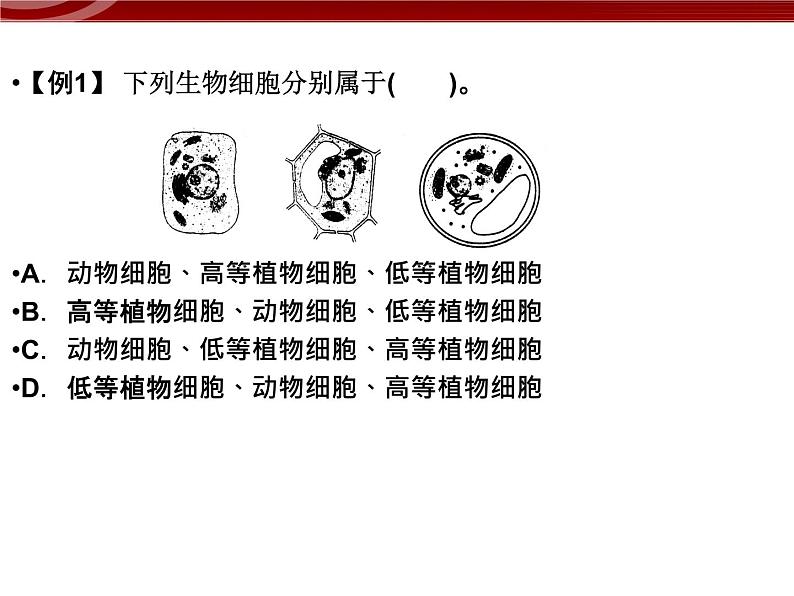 衡水高中用 人教版新课标 必修一 第三章 章节综合与测试 课件05