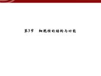 人教版 (2019)必修1《分子与细胞》第3节 细胞核的结构和功能课文内容ppt课件