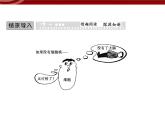 衡水高中用 人教版新课标 必修一  3-3 细胞核的结构与功能 课件