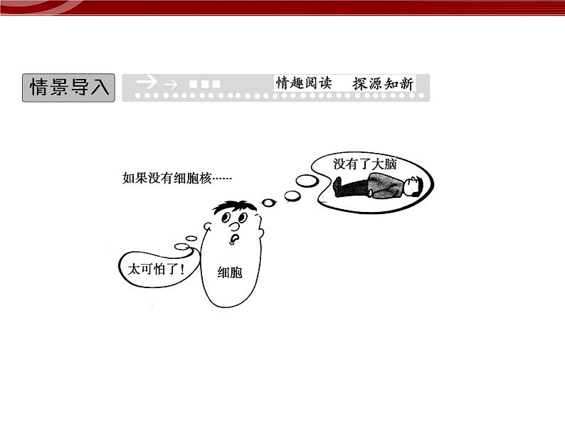 衡水高中用 人教版新课标 必修一  3-3 细胞核的结构与功能 课件02