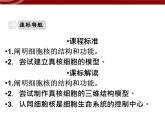 衡水高中用 人教版新课标 必修一  3-3 细胞核的结构与功能 课件