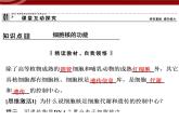 衡水高中用 人教版新课标 必修一  3-3 细胞核的结构与功能 课件