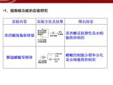 衡水高中用 人教版新课标 必修一  3-3 细胞核的结构与功能 课件