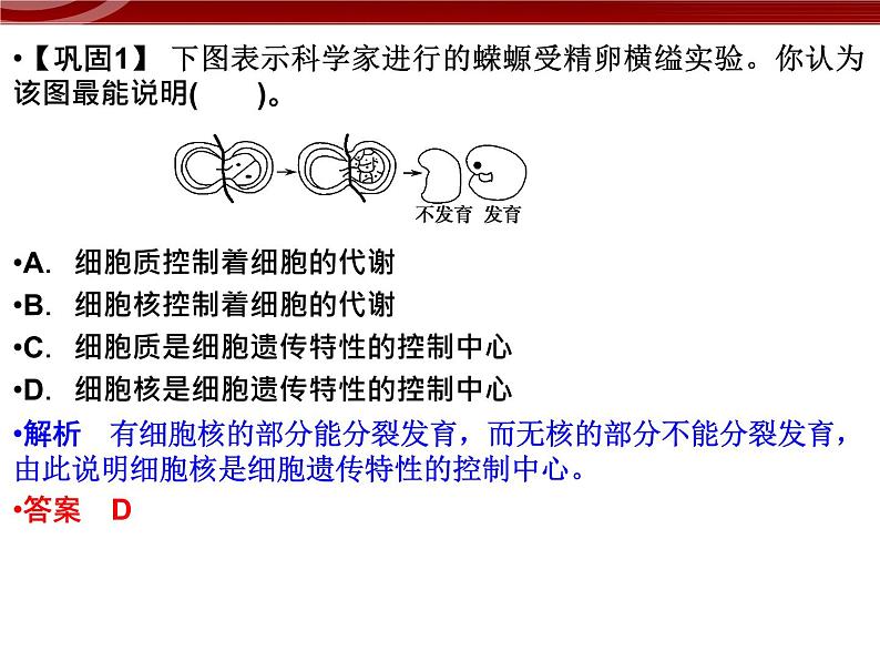 衡水高中用 人教版新课标 必修一  3-3 细胞核的结构与功能 课件08