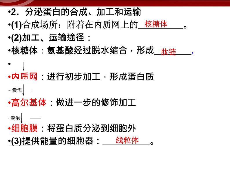 衡水高中用 人教版新课标 必修一  3-2-2 细胞器之间的分工合作 课件03