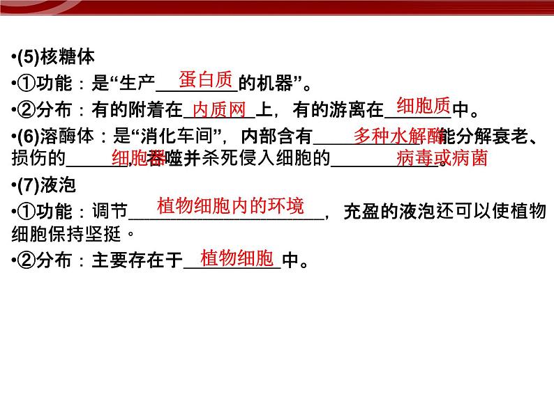 衡水高中用 人教版新课标 必修一  3-2-1 细胞器之间的分工合作 课件07