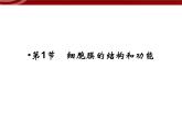 衡水高中用 人教版新课标 必修一  3-1 细胞膜的结构和功能 课件