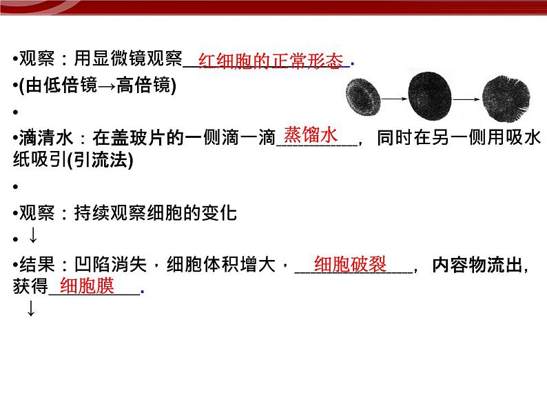 衡水高中用 人教版新课标 必修一  3-1 细胞膜的结构和功能 课件07