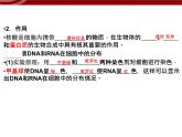 衡水高中用 人教版新课标 必修一  2-5 核酸是遗传信息的携带者 课件