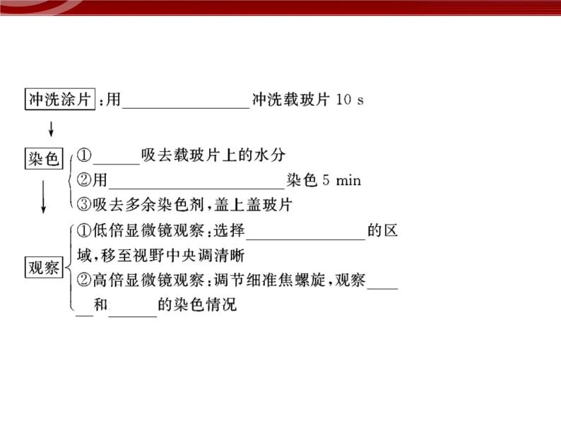 衡水高中用 人教版新课标 必修一  2-5 核酸是遗传信息的携带者 课件07