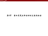 衡水高中用 人教版新课标 必修一 2-4 蛋白质是生命活动的主要承担者 课件