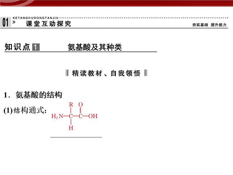 衡水高中用 人教版新课标 必修一 2-4 蛋白质是生命活动的主要承担者 课件04