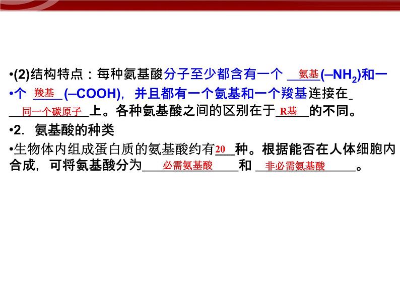 衡水高中用 人教版新课标 必修一 2-4 蛋白质是生命活动的主要承担者 课件05