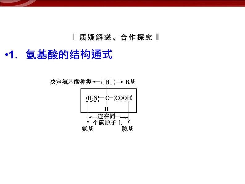 衡水高中用 人教版新课标 必修一 2-4 蛋白质是生命活动的主要承担者 课件07