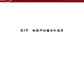 衡水高中用 人教版新课标 必修一  2-3 细胞中的糖类和脂质 课件