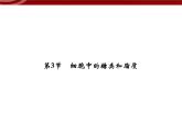 衡水高中用 人教版新课标 必修一  2-3 细胞中的糖类和脂质 课件