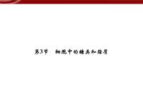 高中生物人教版 (2019)必修1《分子与细胞》第3节 细胞中的糖类和脂质课文内容ppt课件