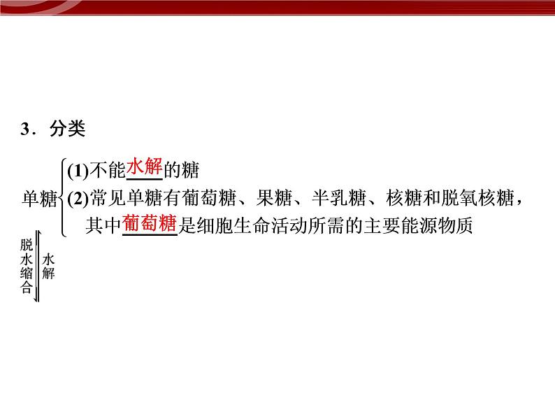 衡水高中用 人教版新课标 必修一  2-3 细胞中的糖类和脂质 课件05