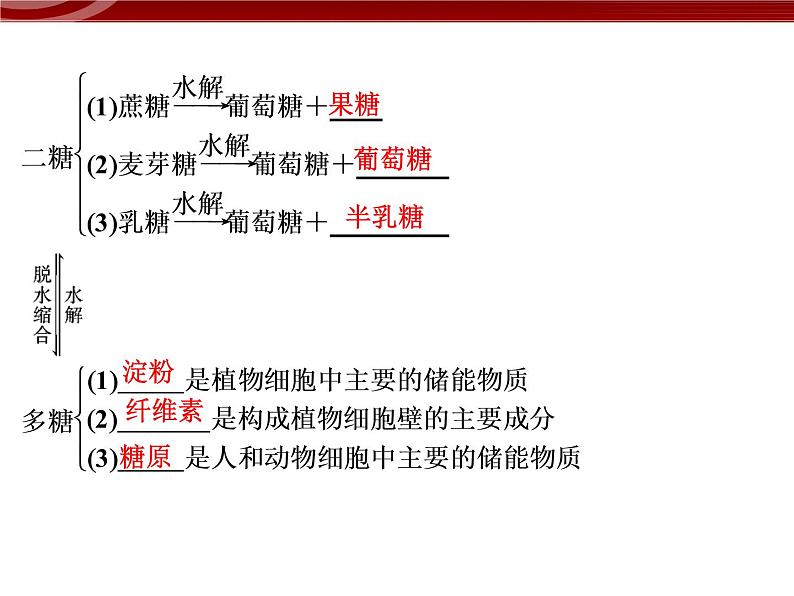 衡水高中用 人教版新课标 必修一  2-3 细胞中的糖类和脂质 课件06