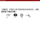 衡水高中用 人教版新课标 必修一  第一章 章节综合与测试 课件