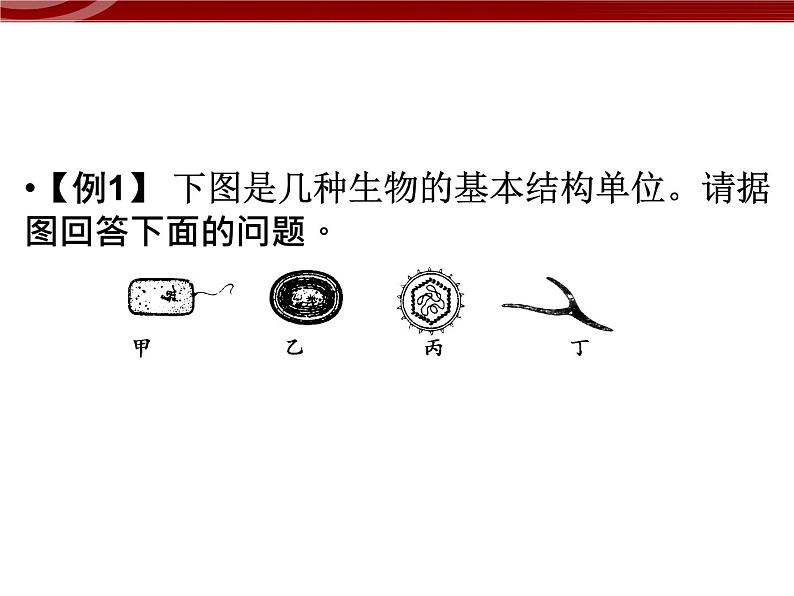 衡水高中用 人教版新课标 必修一  第一章 章节综合与测试 课件04