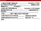 衡水高中用 人教版新课标 必修一  第一章 章节综合与测试 课件