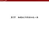 衡水高中用 人教版新课标 必修一  1-2 细胞的多样性和统一性 课件