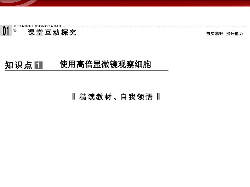 衡水高中用 人教版新课标 必修一  1-2 细胞的多样性和统一性 课件第5页