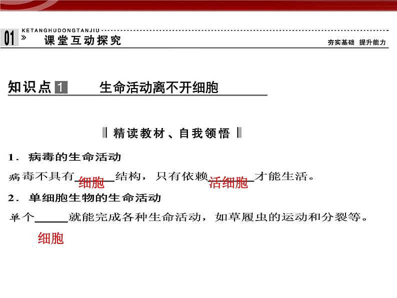 衡水高中用 人教版新课标 必修一  1-1 细胞是生命活动的基本单位 课件第6页