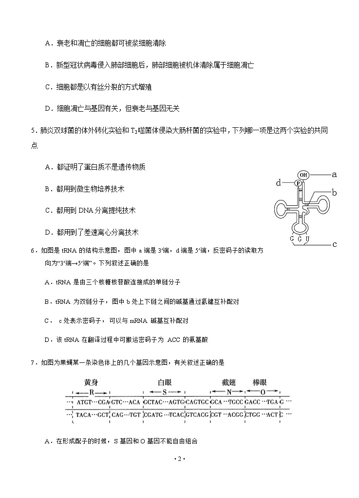 江苏省连云港市老六所四星高中2020届高三下学期模拟考试 生物试题02