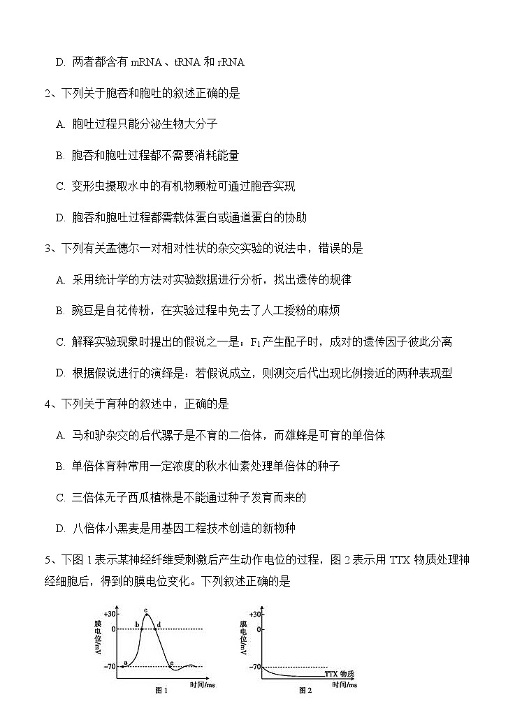 宁夏石嘴山市第三中学2020届高三第三次模拟考试 生物02
