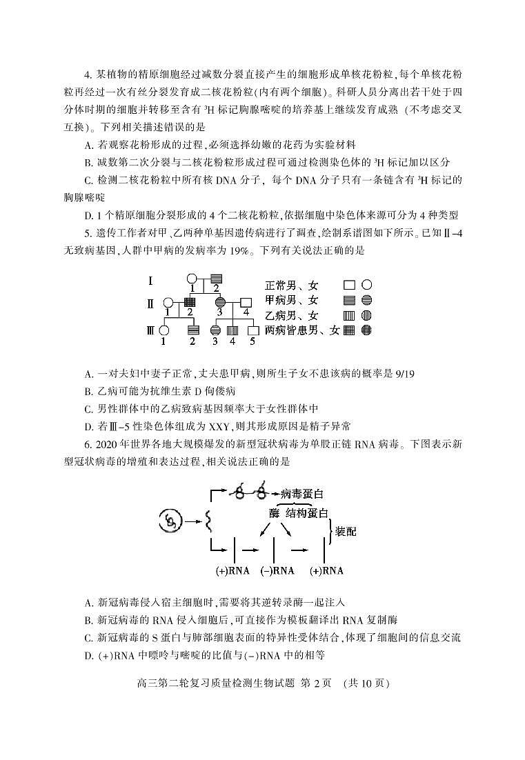 山东省泰安市2020届高三第二轮复习质量检测（二模）生物试题（PDF版）02
