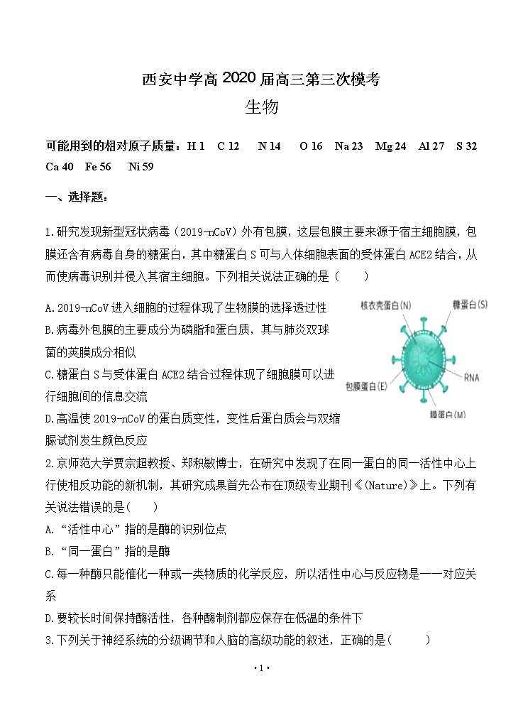 陕西省西安中学2020届高三第三次模拟考试 生物01