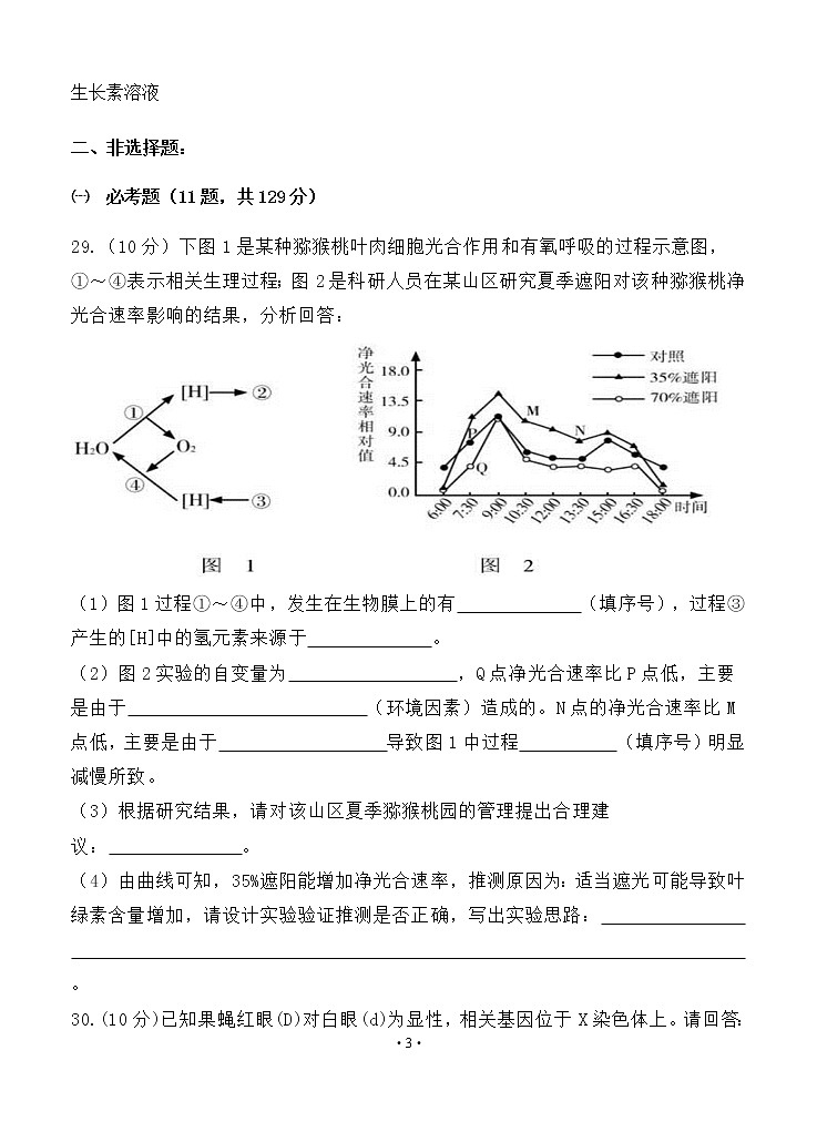 陕西省西安中学2020届高三第三次模拟考试 生物03
