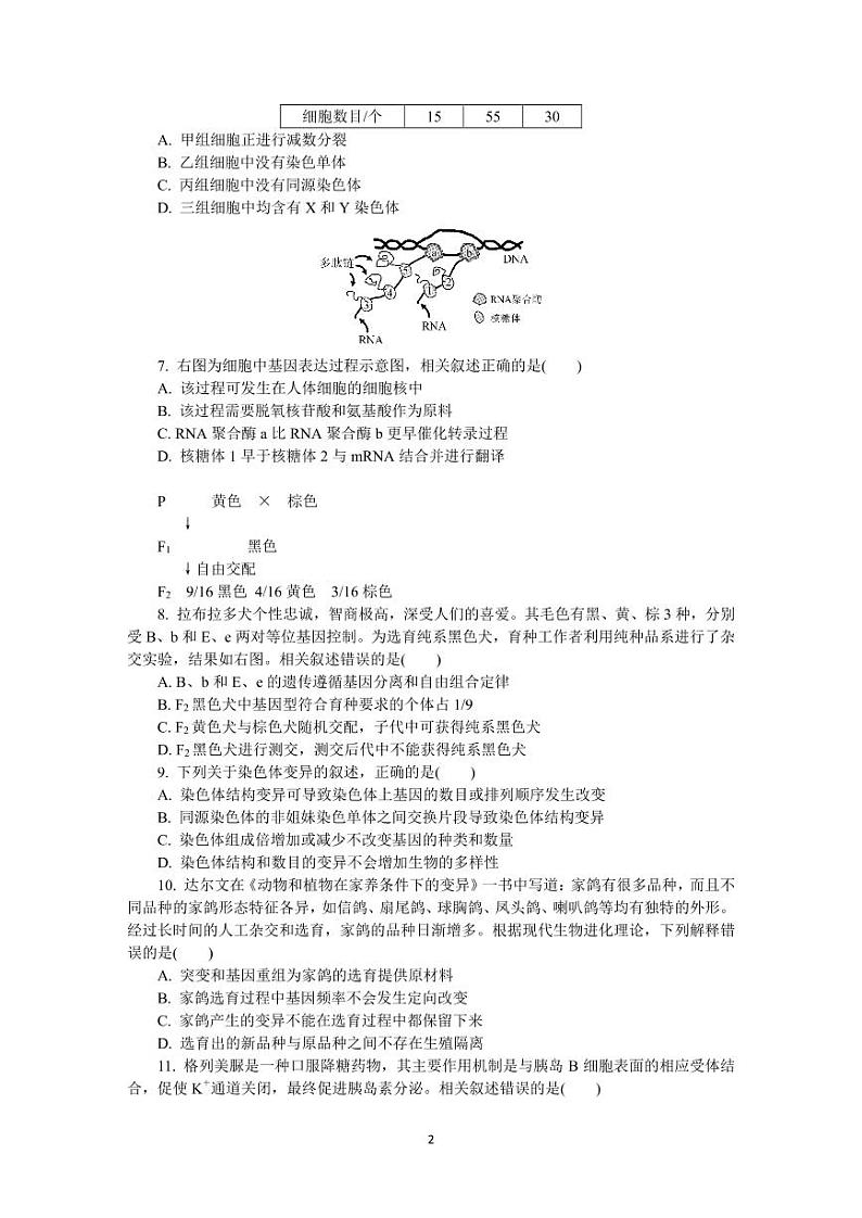 2020江苏七市6月高三第三次模拟考试生物试卷+答案第2页