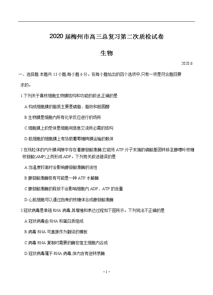 广东省梅州市2020届高三6月总复习质检（二）生物试题01