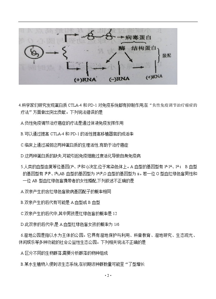 广东省梅州市2020届高三6月总复习质检（二）生物试题第2页