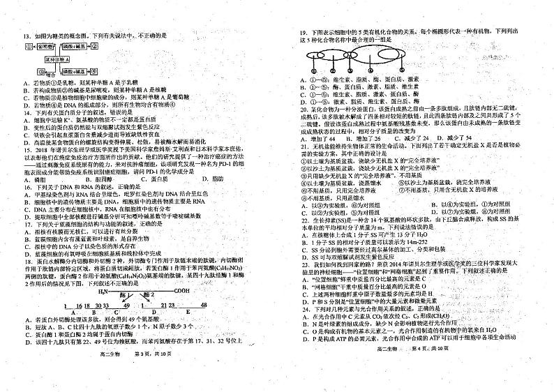 【生物】2020哈三中高二（下）6月月考第2页