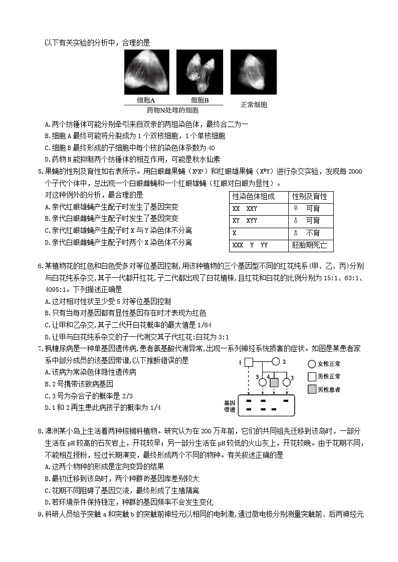 2020届山东省潍坊市昌乐县高三4月高考模拟生物试题第2页