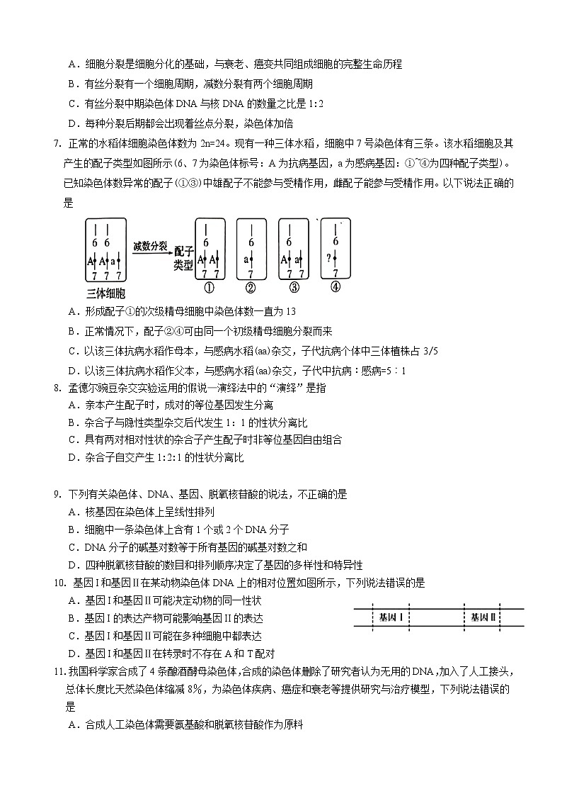 2020届山东省潍坊市临朐县高三下学期综合模拟考试生物试题（二）02