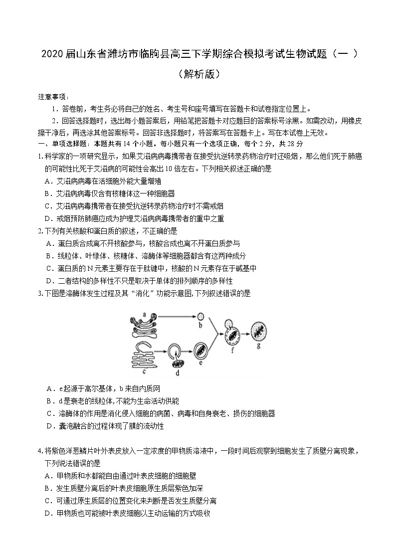 2020届山东省潍坊市临朐县高三下学期综合模拟考试生物试题（一）（解析版）第1页