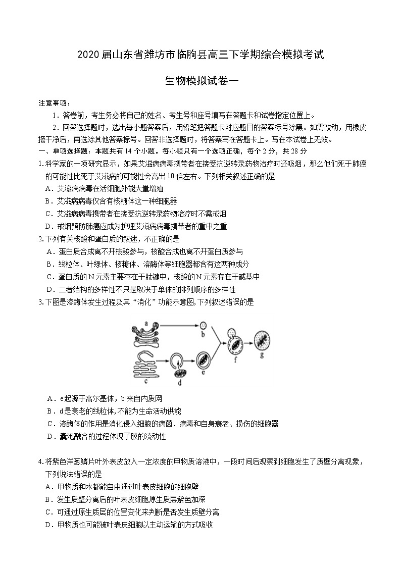 2020届山东省潍坊市临朐县高三下学期综合模拟考试生物试题（一）01