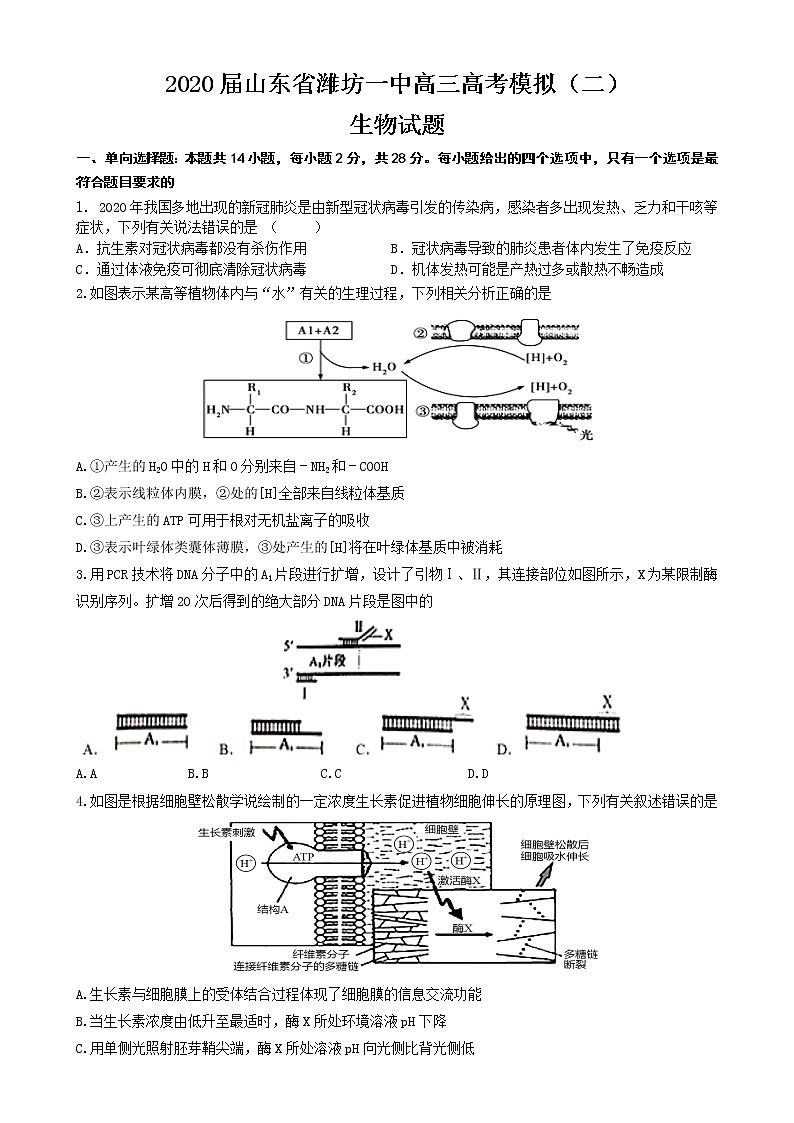 2020届山东省潍坊一中高三高考模拟（二）生物试题第1页