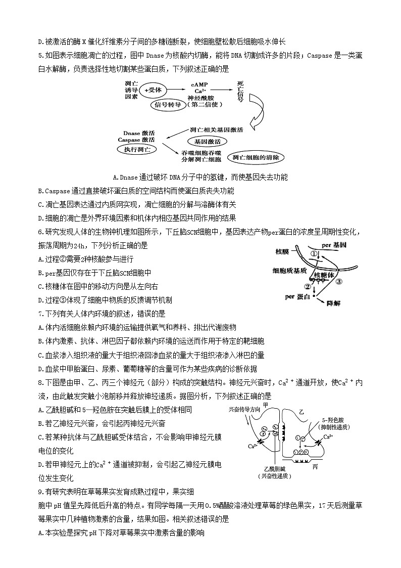 2020届山东省潍坊一中高三高考模拟（二）生物试题第2页