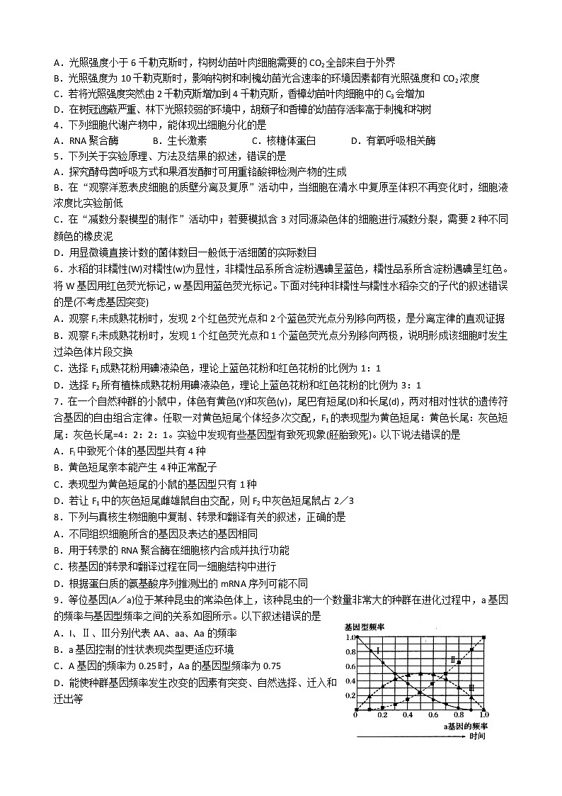 2020届山东省潍坊一中高三高考模拟（三）生物试题第2页