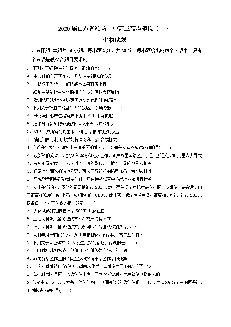2020届山东省潍坊一中高三高考模拟（一）生物试题01